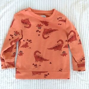 3T dinosaur orange sweatshirt unisex